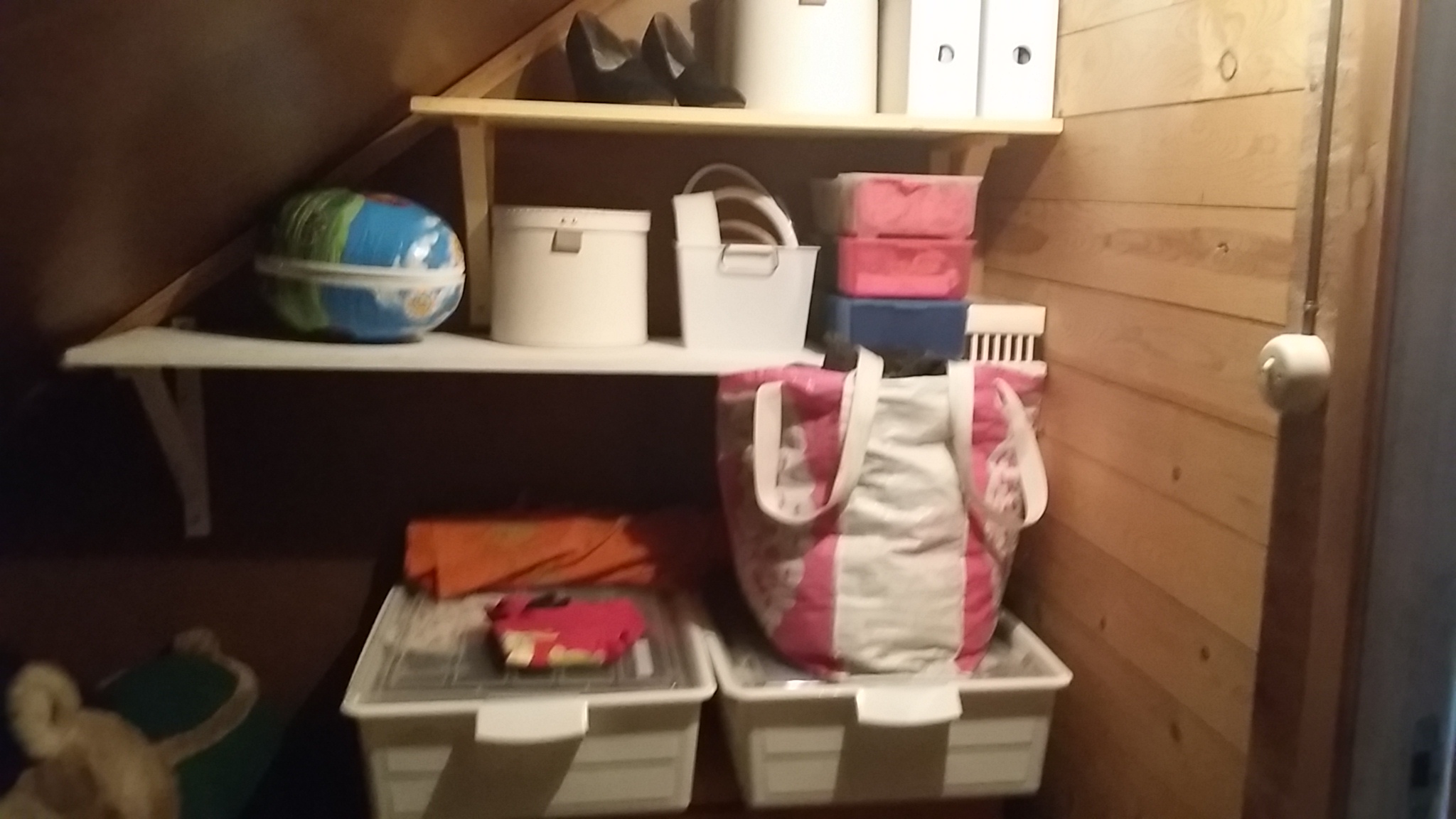 31 dagars detox » annika organiserar